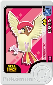 ピジョン