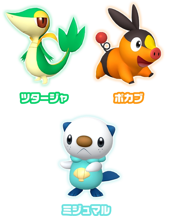 トレーナーピックとくてん パートナーポケモン