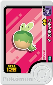 カジッチュ